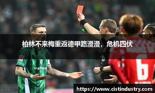 BB贝博ballbet