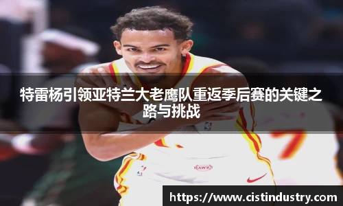 特雷杨引领亚特兰大老鹰队重返季后赛的关键之路与挑战