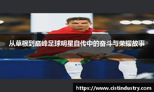 BB贝博登录入口